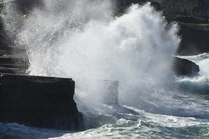 Historic La Jolla Walking Tour - Common Questions