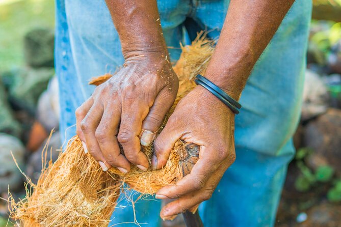 Historical 18th Century Estate Tour With Coconut Tasting - Pricing and Additional Information