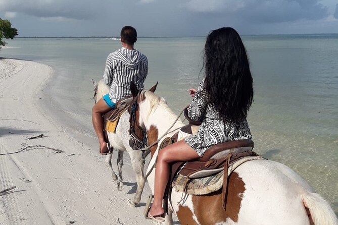 Holbox Horseback Riding in Nature Experience - Common Questions