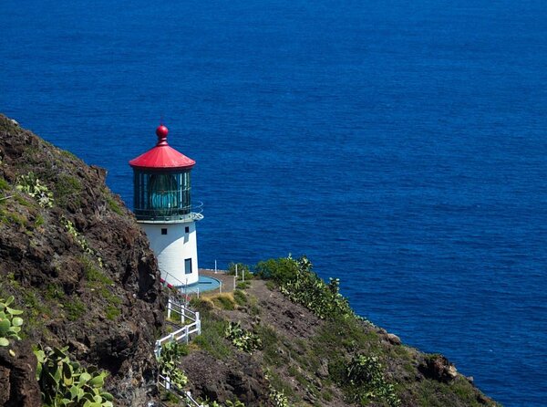 Honolulu Night Photography Tour - Good To Know