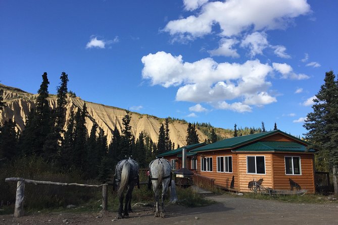 Horse-Drawn Covered Wagon Ride With Backcountry Dining - Directions