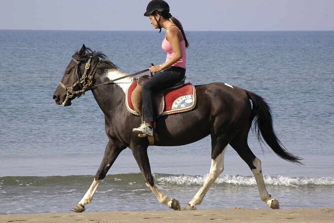 Horse Riding on the Beach in Side - Traveler Reviews of Horse Riding Experience