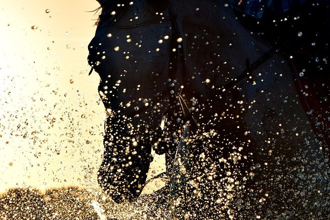 Horse Riding on the Beach, Rhodes - Common Questions