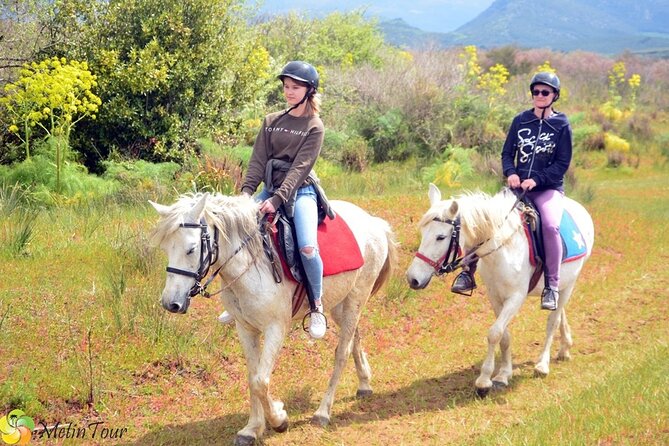 Horse Safari From Kusadasi - Common Questions