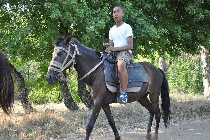 Horse Safari Tour in Marmaris & Icmeler - Directions