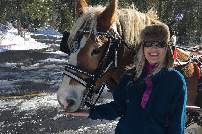 Horseback Riding Adventure From Reno - Reviews and Ratings