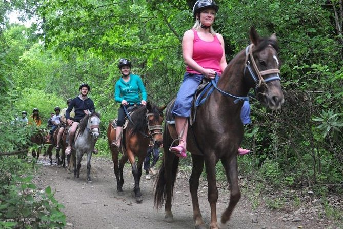 Horseback Riding From Kusadasi Port / Hotels - Common Questions
