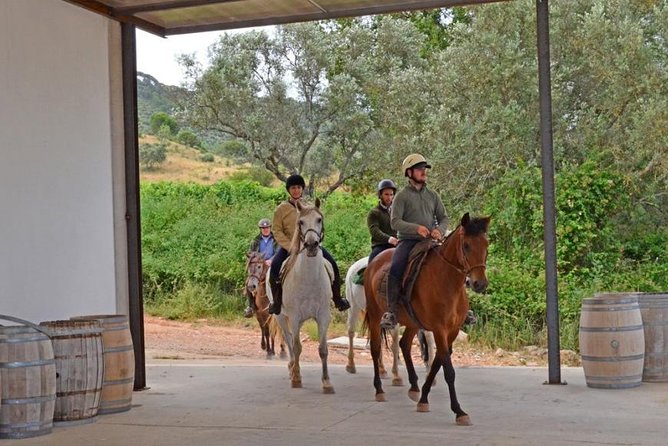 Horseback Riding In Lisbon - Arrábida - Louro Trail Mountain 5 - 6 Hours - Reviews and Testimonials