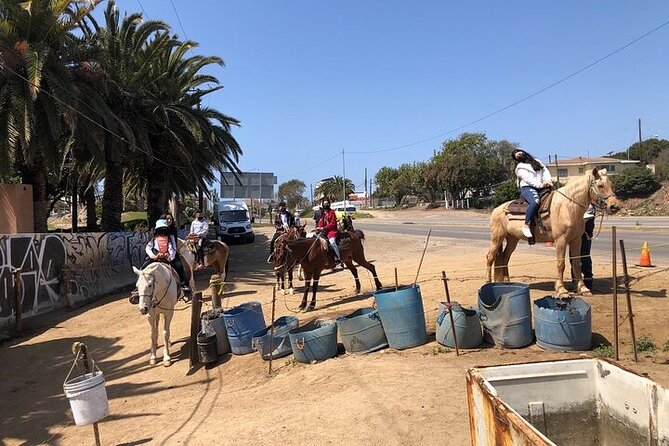 Horseback Riding on Private Beach and Puerto Nuevo From Rosarito - End Point and Pickup Details
