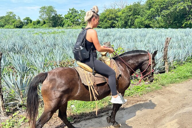 Horseback Riding: Tequila Tasting, Mex BBQ & Margaritas - Common Questions