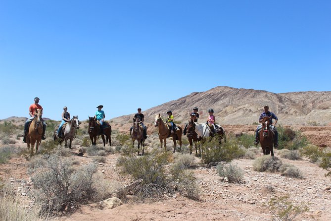 Horseback Riding Tour - Common Questions