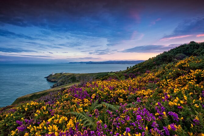 Howth Coastal Half-Day Bus Tour From Dublin With Live Guide - Guided Walk Along the Sea Cliffs