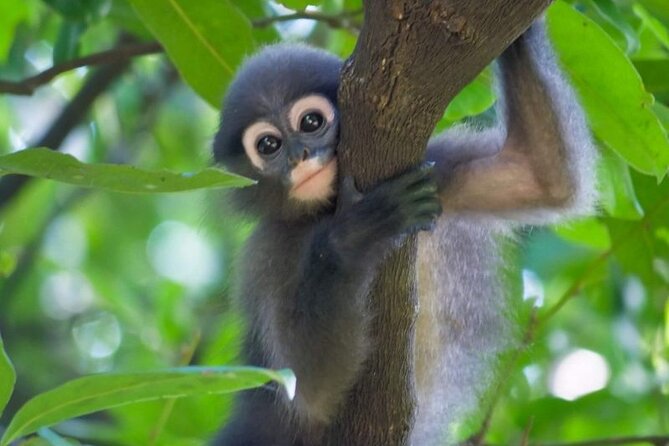 Hua Hin National Park & Laem Sa La Beach Guided Day Trip - Common Questions