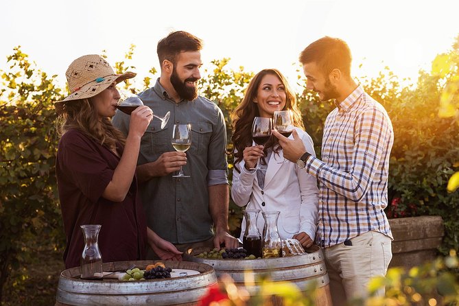 Hunter Valley Highlights Private Wine Tour From Sydney - Itinerary