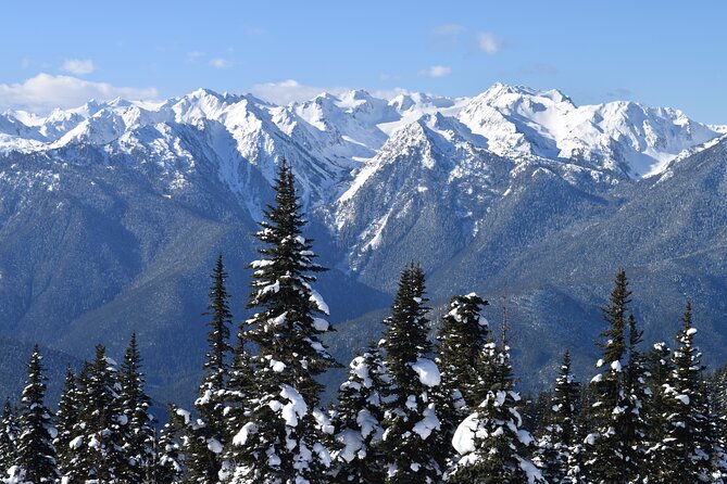 Hurricane Ridge Guided Snowshoe Tour in Olympic National Park - Booking and Contact Information