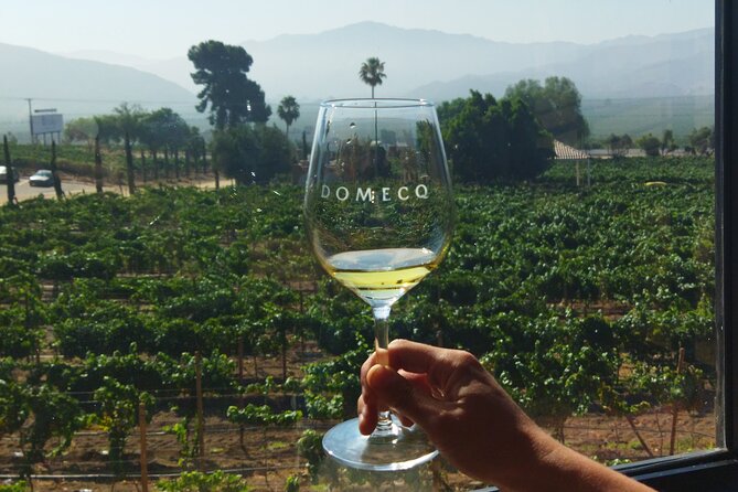 I Want More Wine, Guadalupe Valley Tours. - Booking Your Guadalupe Valley Wine Adventure