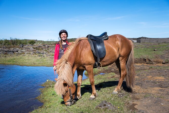Icelandic Horse Riding and Whale Watching Tour From Reykjavik - Positive Reviews and Recommendations - Whale Watching Experience