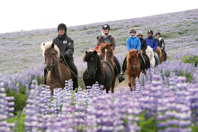 Icelandic Horseback Riding Tour From Reykjavik - Additional Information and Safety Requirements