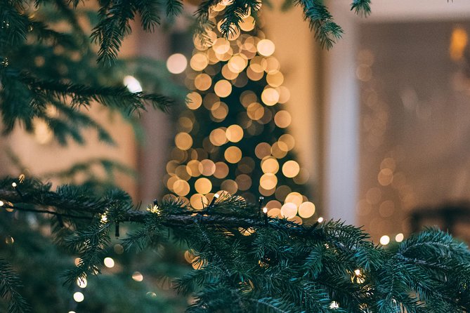 Icelands Christmas Myths and Traditions - Reykjavík Walking Tour - Common Questions