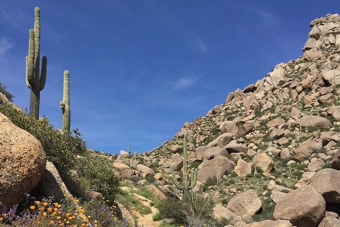 Iconic Toms Thumb Hiking Adventure in Scottsdale - Reviews and Ratings From Viator and Tripadvisor