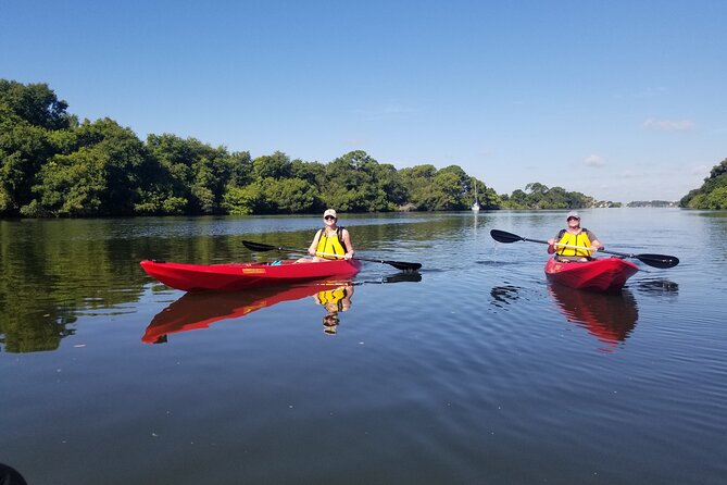 Indian River Clear Bottom Kayak or Paddleboarding Manatee and Dolphin Tour - The Sum Up