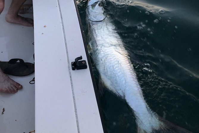 Inshore Sport Fishing With Local Guide - Directions for Inshore Sport Fishing With a Local Guide