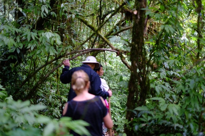 Inthanon Small-Group With Kew Mae Pan Trail From Chiang Mai Include Lunch - Included in the Tour