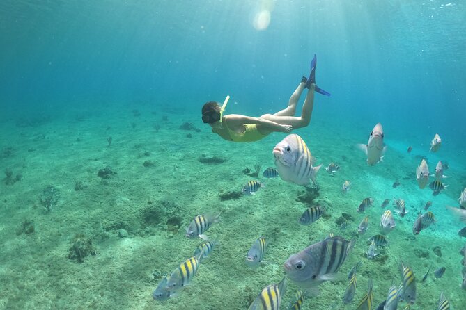 Invisible Boat Snorkeling Adventure in Cozumel - Common Questions