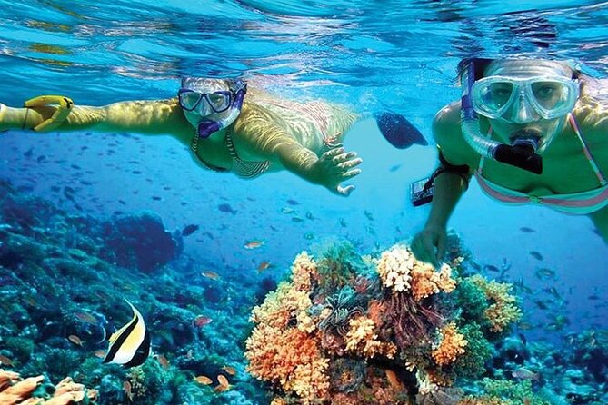 Isla Mujeres Catamaran With Snorkel, Open Bar & Buffet Lunch - Cancellation Policy