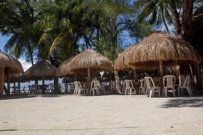 Isla Mujeres Premium Tour in Catamaran With Snorkel and Buffet - Friendly and Knowledgeable Staff