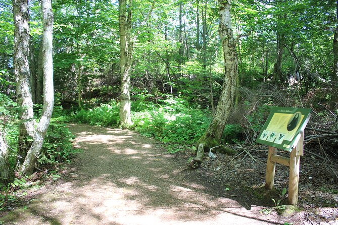 Island Drive & Anne of Green Gables Tour - Viator Help Center
