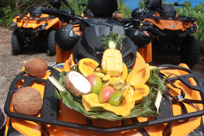 Island Tour & Getaway on the Bora Bora Mountains by Quad / ATV - Customer Feedback and Tour Guides