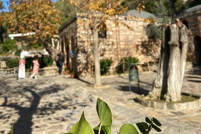 Izmir to Private Ephesus - Artemission Temple - Mother Marys House - Pricing and Booking: Small Group Tour With Viator, Inc