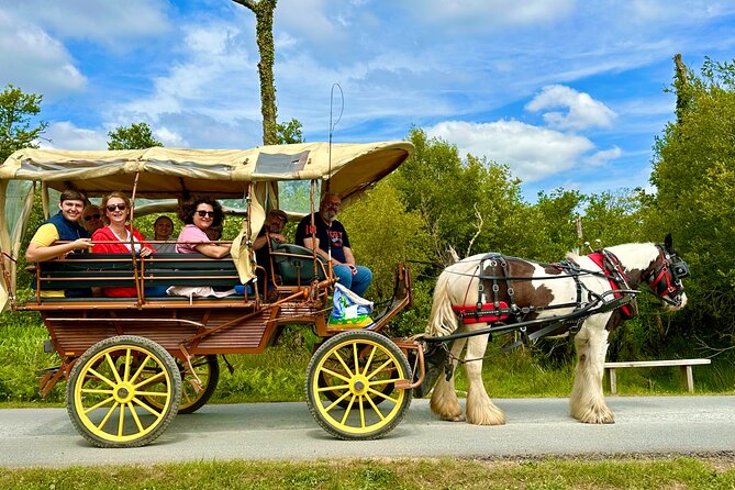 Jaunting Car Tour in Killarney National Park - Traveler Photos and Reviews