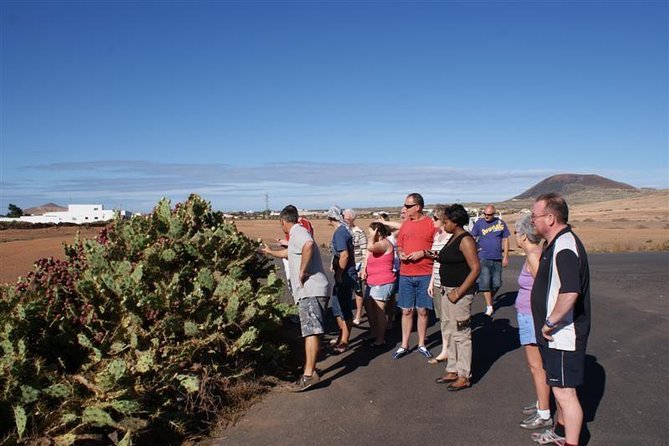 Jeep Tour to Cotillo and Northern Area of Fuerteventura - Common Questions