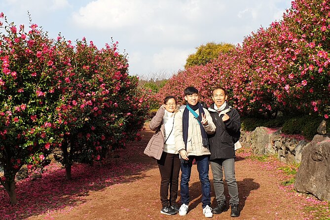 Jeju Private Half-Day Taxi Tour - South of Jeju Island - Important Information for Travelers