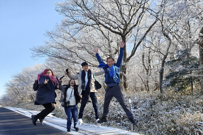 Jeju Private Taxi Tour - UNESCO for Cruise Customer (Regular/Van) - Reserve Now & Pay Later