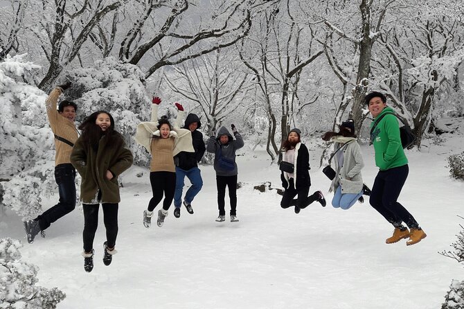 Jeju Private Tour Couple Package to All Area of Jeju Island - Common Questions