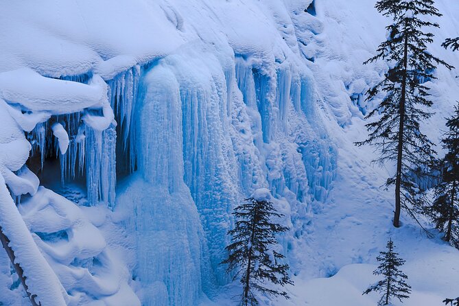 Johnston Canyon Frozen Waterfalls & Banff Backroads Wildlife Tour - Common Questions