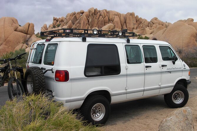 Joshua Tree National Park Scenic Tour - Positive Reviews and Recommendations