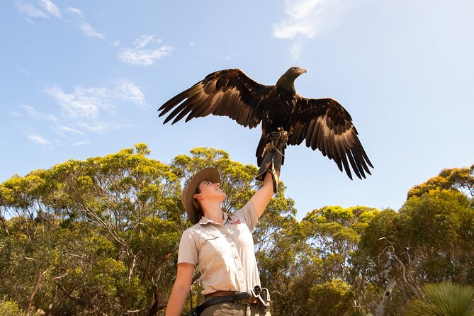 Kangaroo Island Iconic Sights and Wildlife Full-Day Tour - Minimum Number of Travelers Requirement