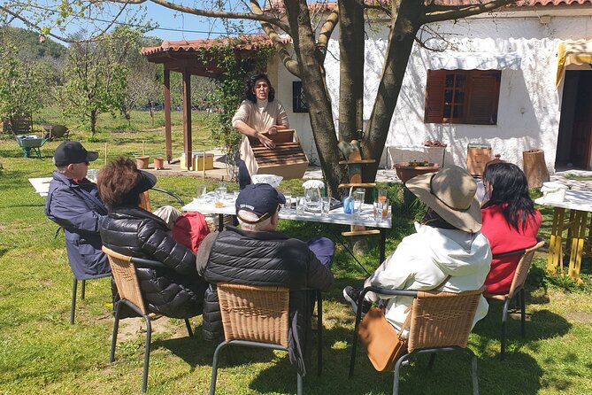 Katakolon Shore Excursion: Ancient Olympia Plus Honey Farm & Olive Oil Tasting - Common Questions