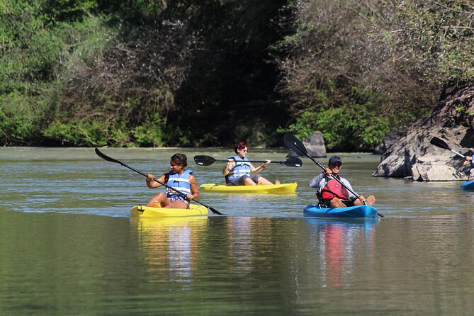 Kayak by the River - Traveler Reviews and Ratings