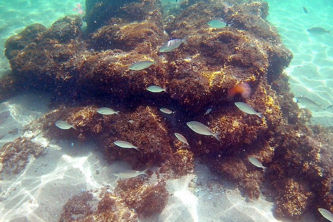 Kayak Excursion in Playa De Aro - Contact Information
