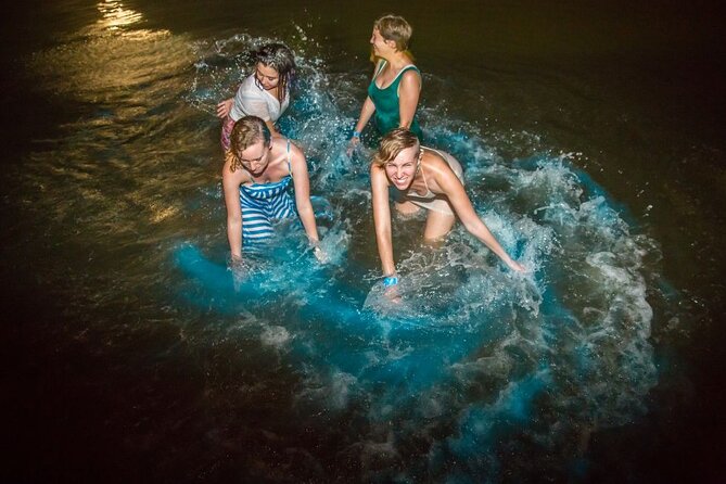 Kayak Experience and Swiming With the Bioluminescence in Holbox - Marvel at the Glistening Water