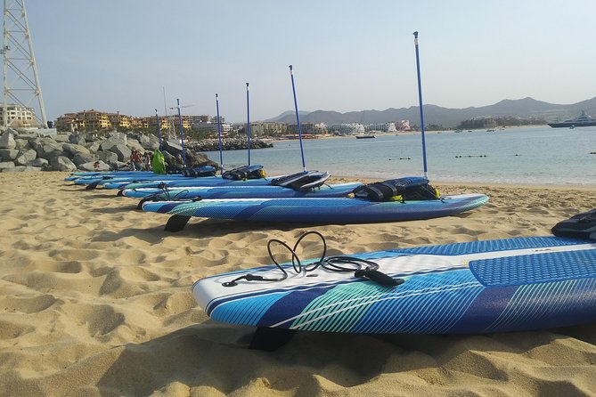 Kayak or Paddle Board and Snorkel to the Arch - Reviews