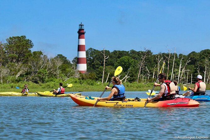Kayak Tour Along Assateague & Chincoteague Island, Virginia - Traveler Photos and Reviews