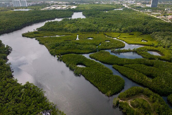Kayak Tour in North Miami Beach - Mangrove Tunnels - Common Questions