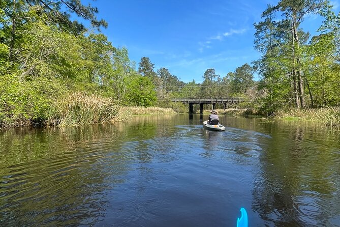 Kayak Tour Of The Honey Island Swamp and Backwaters - The Sum Up