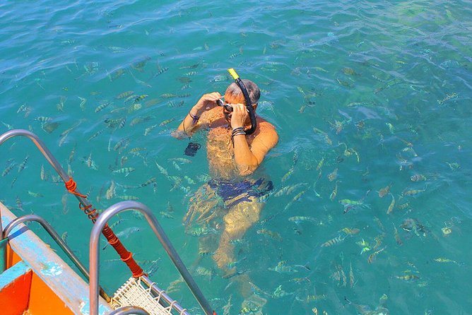 Kayaking and Snorkeling Trip at Koh Tan & Madsum From Koh Samui - Marine Life Encounters